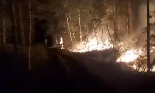 Количество лесных пожаров в Ивановской области сократилось более чем в 3 раза